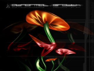 Red green flower black background 2 - a picture of a flower free wallpaper