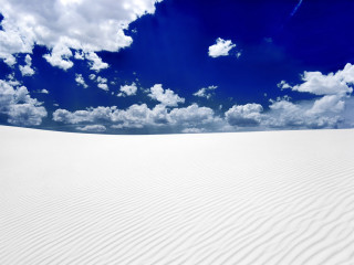 White sand dune blue sky 2 - a single tree in the foreground free wallpaper