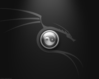 Black silver dragon logo silver - fan qi free wallpaper for desktop