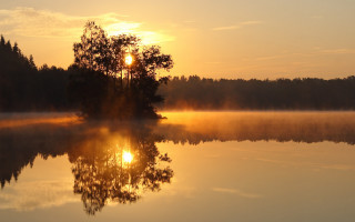 Lake tree sunset fog water - a tree in the middle of it free wallpaper