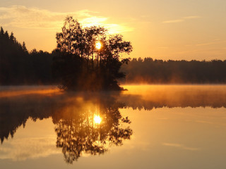 Lake tree sunset fog background 2 - sunrise free wallpaper for desktop