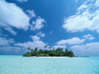 Island palm trees ocean sky 2 - a small island free wallpaper