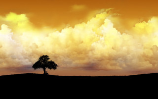 Lone tree field cloudy sky 2 - a lone tree in the foreground free wallpaper