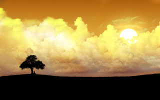 Lone tree field sunset clouds 9 - the sky above free wallpaper