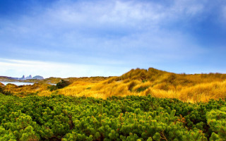 Field grass trees mountains blue - cloud above free wallpaper