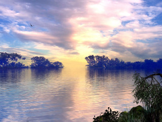 Lake bird flying trees sunset - over the water free wallpaper for desktop