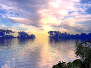 Lake bird flying trees sunset 4 - bob ross free wallpaper