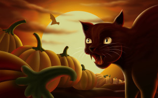 Cat pumpkin patch full moon 4 - dark background free wallpaper