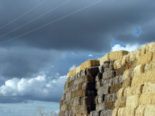 Haystack field cloudy sky powerlines 2 - cable wire free wallpaper