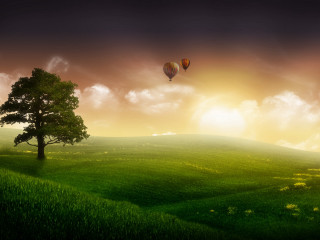 Green field tree hot air 2 - hot air balloon free wallpaper for desktop