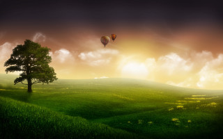 Tree hot air balloon sunset 5 - over a green field free wallpaper