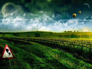 Field sign hotairballoons night sky - hot air balloon free wallpaper