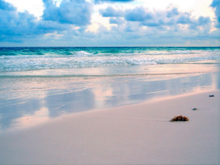 Sandy beach waves starfish cloudy - a sandy beach free wallpaper