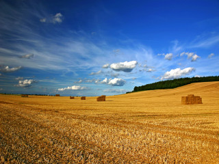 Hay field bales blue sky 5 - heavy grain free wallpaper for desktop