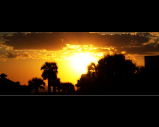 Sunset palm trees building skyline 3 - dave arredondo free wallpaper