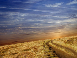 Dirt road grassy field blue 2 - a dirt road free wallpaper for desktop