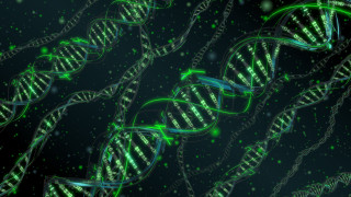 Green white structure green light - structure free wallpaper