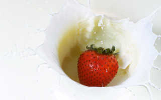 Strawberry white bowl milk splash 3 - a white bowl free wallpaper