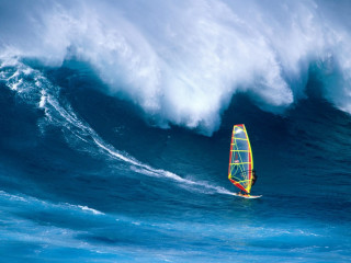 Person riding surfboard wave ocean 4 - david macaulay free wallpaper