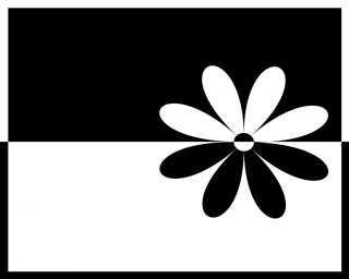 Black white flower black background 2 - low free wallpaper
