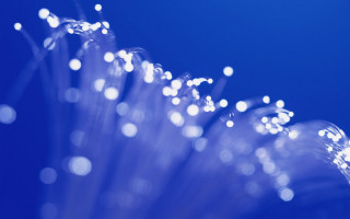 Flower closeup water droplets blue - cable wire free wallpaper