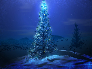 Blue christmas tree snowy landscape - a star free wallpaper for desktop