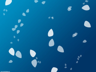 Blue background white leaves floating - clean free wallpaper for desktop