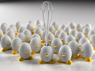 White eggs yellow beaks whisk 3 - the middle of them free wallpaper