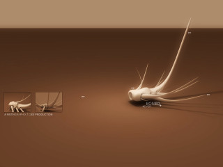 Cat tail bones background smaller - simple form free wallpaper for desktop