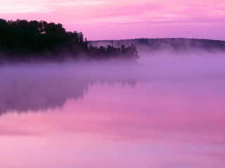 Pink sky trees water fog - fog free wallpaper