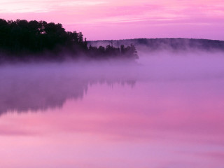 Pink sky trees water fog 3 - fog free wallpaper
