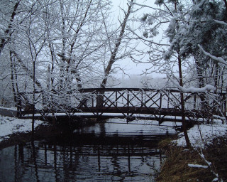 Bridge snowy forest river snow - the ground and trees free wallpaper