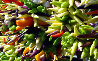 Colored peppers vegetables white bowl - a white bowl free wallpaper for desktop