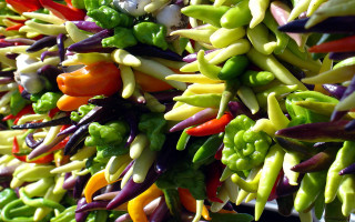 Colored peppers vegetables table bowl 2 - a white bowl free wallpaper