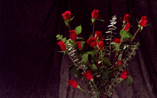 Vase red roses table black 2 - a black curtain free wallpaper
