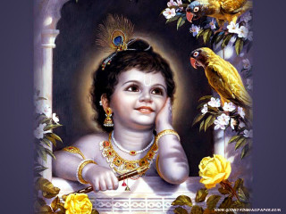 Child bird parrot shoulder painting - divinity free wallpaper for desktop