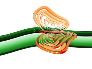 Colorful butterfly green branch vibrant - the wing free wallpaper