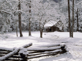 Log fence snow cabin trees - american romanticism free wallpaper