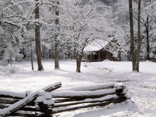 Log fence snow cabin trees 2 - a log free wallpaper