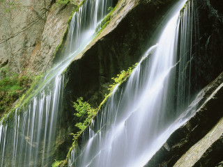 Waterfall cascading water lush green 7 - a bunch of water free wallpaper