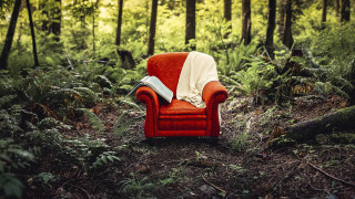 Red chair forest blanket book - a blanket free wallpaper