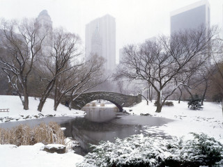 Bridge pond snow park tall 2 - christopher williams free wallpaper