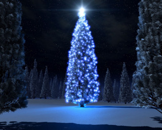 Large christmas tree lit snow 2 - ernest william christmas free wallpaper