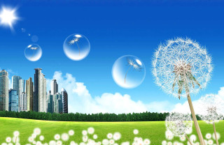 Dandelion city bubbles flying background - the air above free wallpaper for desktop