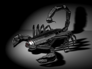 Black white scorpion shadow background - 3 d free wallpaper for desktop