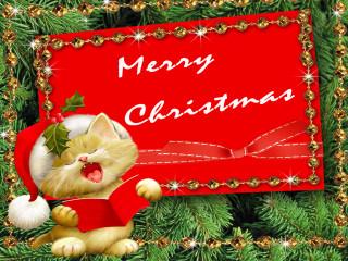 Christmas card cat red banner - a gold border free wallpaper