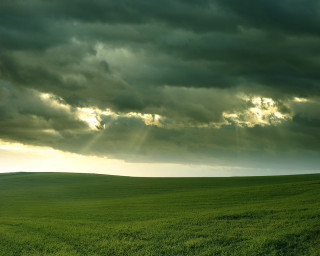 Field lone horse cloudy sky - stormy weather free wallpaper