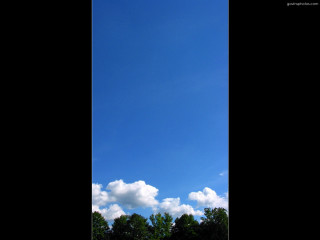 Large kite flying sky trees - free sky wallpaper