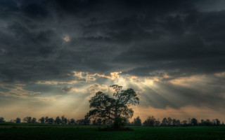 Tree field clouds sun rays 2 - cloud and sun rays free wallpaper