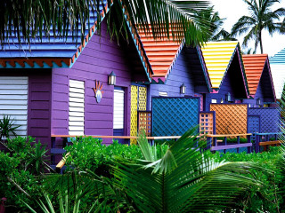Colorful houses palm trees blue 3 - vivid free wallpaper